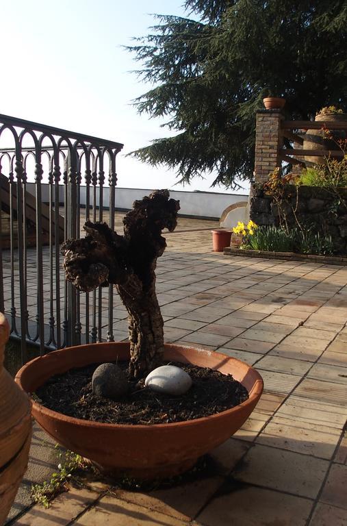 Pachamama Villa Nicolosi Buitenkant foto