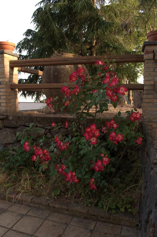 Pachamama Villa Nicolosi Buitenkant foto