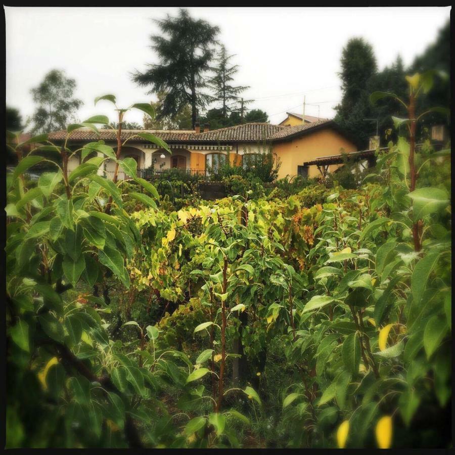 Pachamama Villa Nicolosi Buitenkant foto